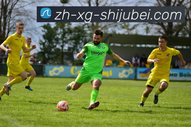 App Interface Preview